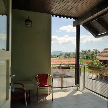 Mladinski Center * Smartno ob Paki