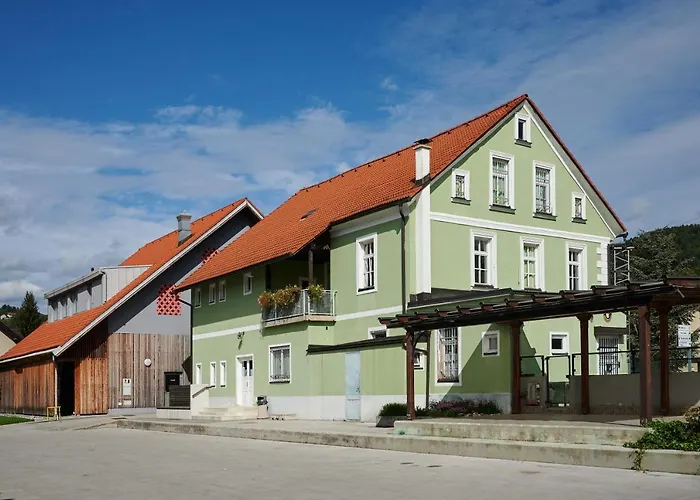 Mladinski Center * Smartno ob Paki